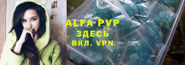 гашик Арсеньев