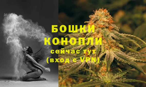 гашик Арсеньев