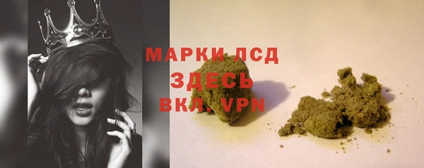 гашик Арсеньев