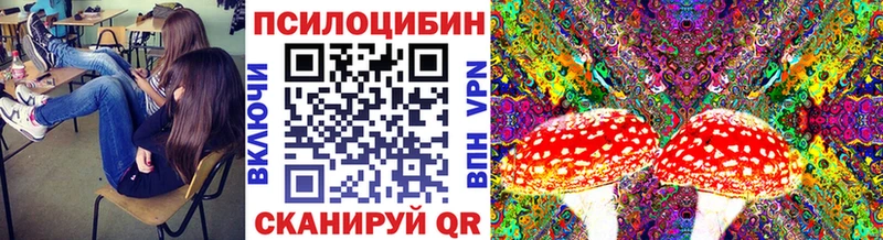 Псилоцибиновые грибы MAGIC MUSHROOMS  что такое наркотик  MEGA онион  Сасово 